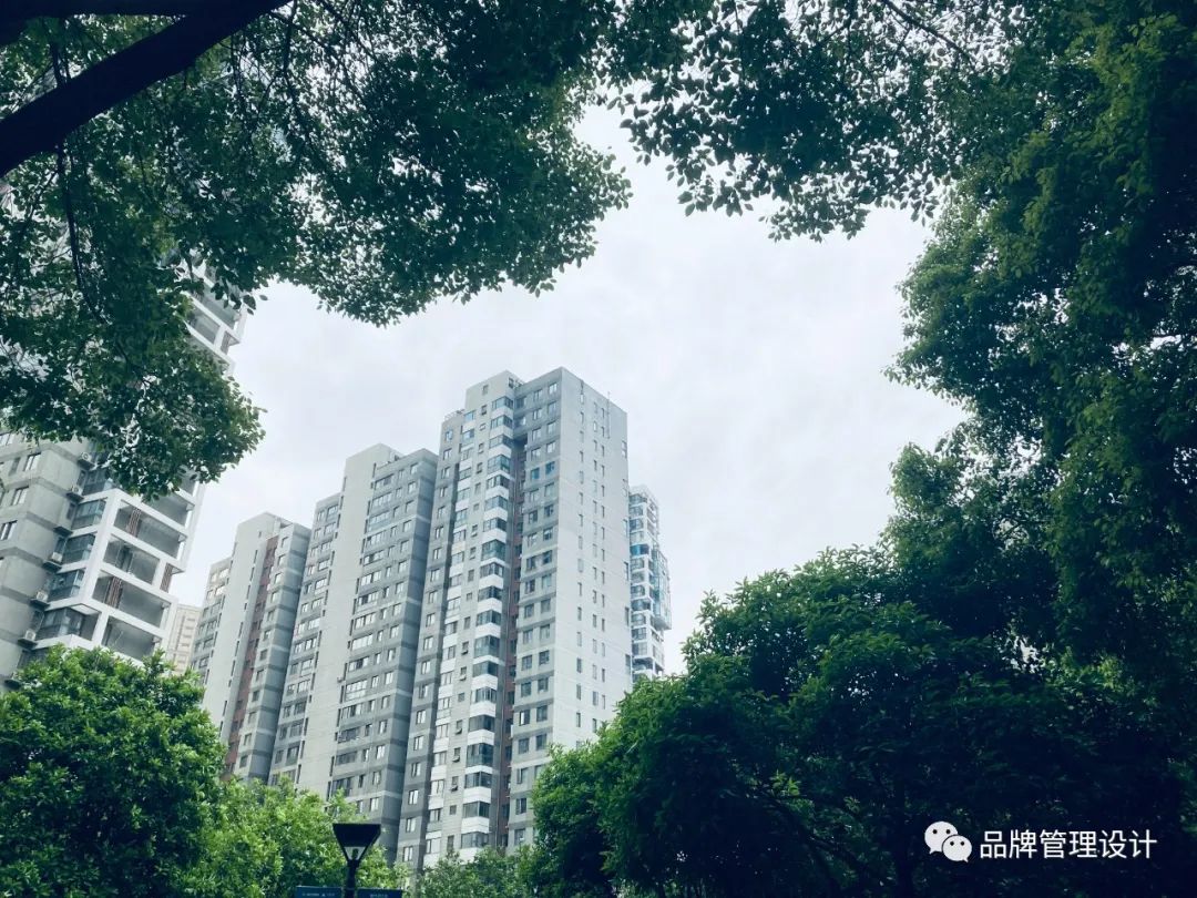 1683612968713862.jpg w4.jpg