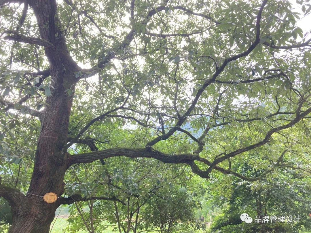 1690783174508989.jpg 012.jpg